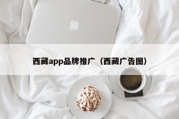 西藏app品牌推广（西藏广告图）